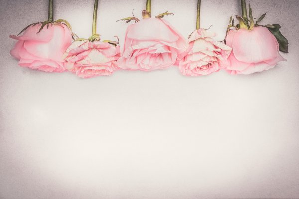 男人冷战你不要去理他