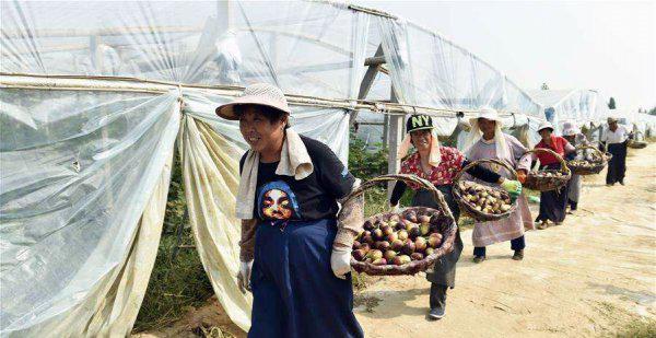 黄河源头起源于什么地方