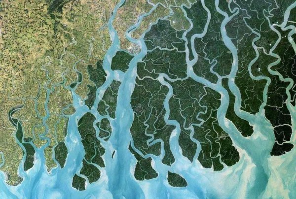 河口三角洲是什么