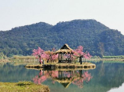 三生三世十里桃花里的青丘是什么地方 青丘狐狸洞的地位