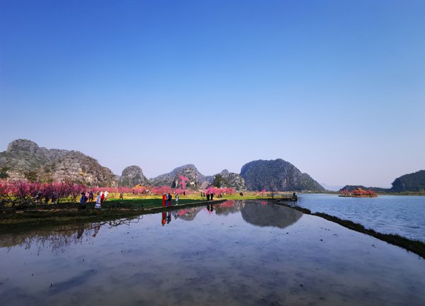 三生三世十里桃花里的青丘是什么地方