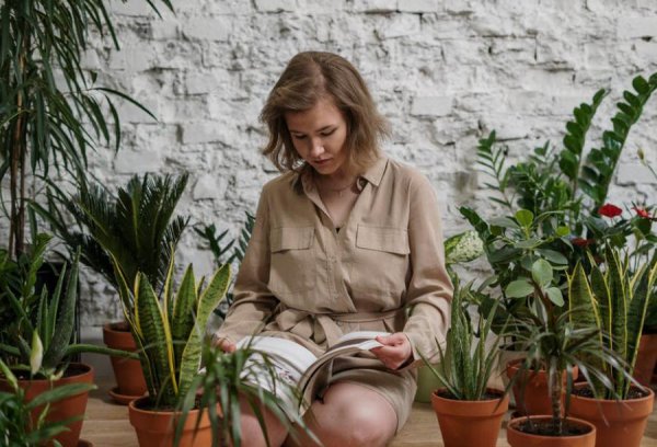 如何克服社交恐惧症不敢说话