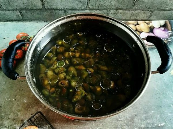 石螺和田螺的区别