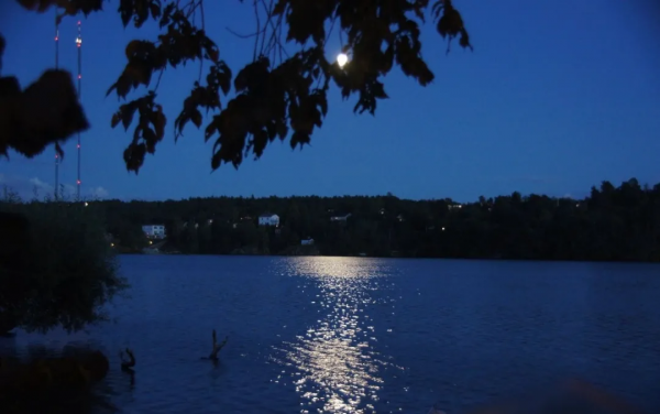 念奴娇过洞庭张孝祥赏析
