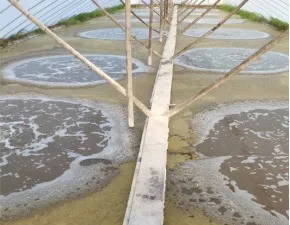 鱼池水面有泡沫怎样解决