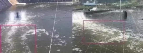 鱼池水面有泡沫怎样解决