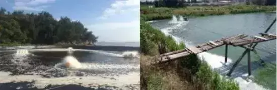 鱼池水面有泡沫怎样解决