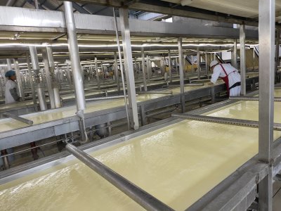 腐竹是什么做的 腐竹是什么东西怎样加工而制成的