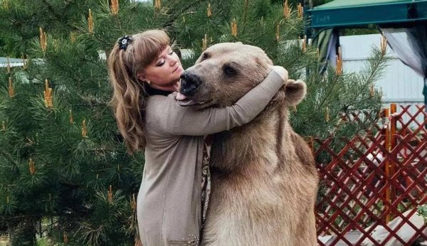 战斗民族是哪个国家