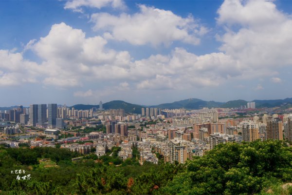 定居大连和青岛哪个好