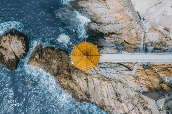 定居大连和青岛哪个好