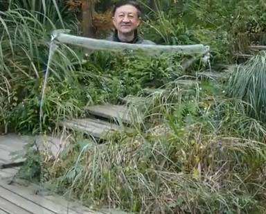 隐身衣真的存在吗