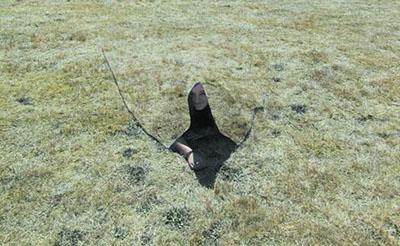 隐身衣真的存在吗