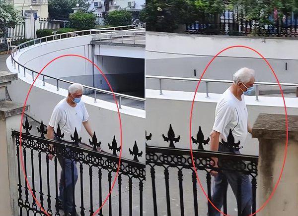 姚明女儿姚沁蕾现在多高