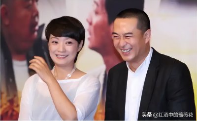 演员王海燕的个人资料简介 张嘉译老婆王海燕出演的电视剧