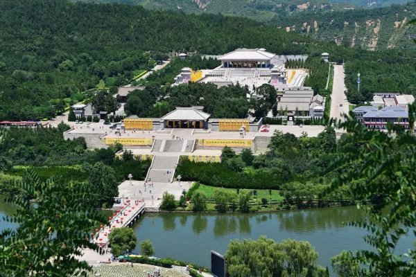 坟墓周围栽什么树最好