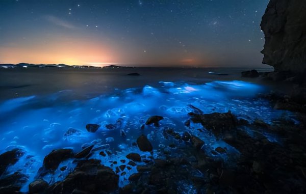 海水蓝眼泪是怎么形成的