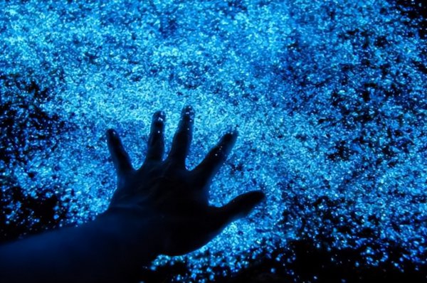 海水蓝眼泪是怎么形成的