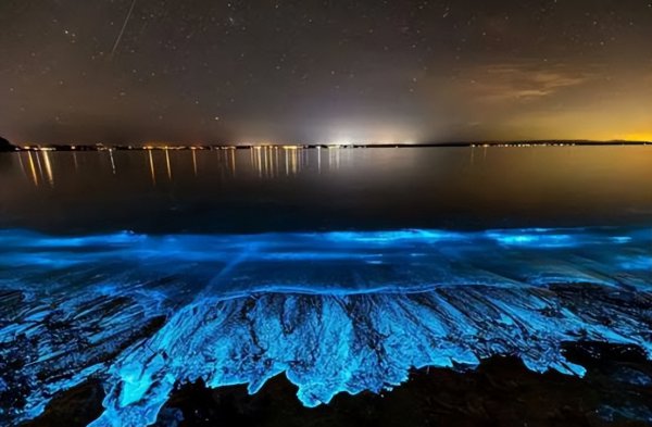 海水蓝眼泪是怎么形成的