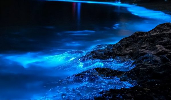 海水蓝眼泪是怎么形成的