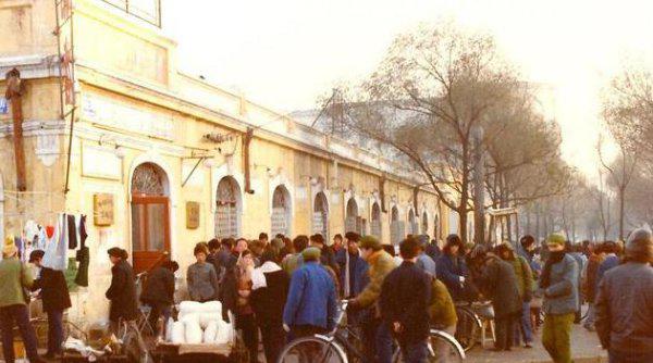 鹤岗是哪个省的城市