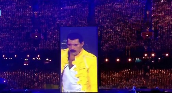 佛莱迪摩克瑞介绍