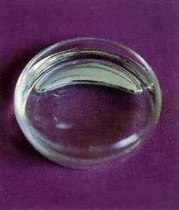 玛雅文明为什么突然消失了