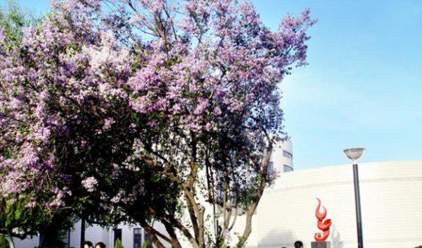 西北师范大学什么档次