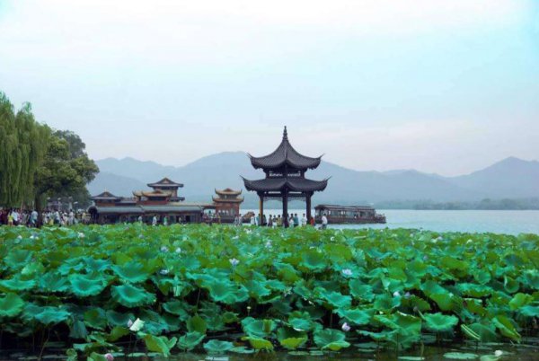 浙江高校排名一览