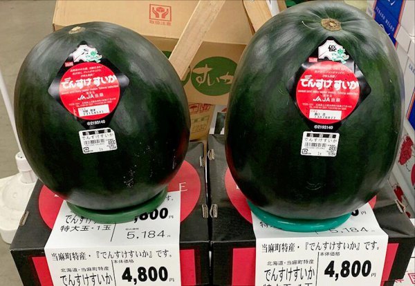 世界上最贵的水果排行榜前十名