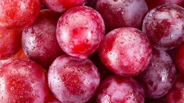 世界上最贵的水果排行榜前十名