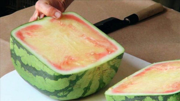 世界上最贵的水果排行榜前十名