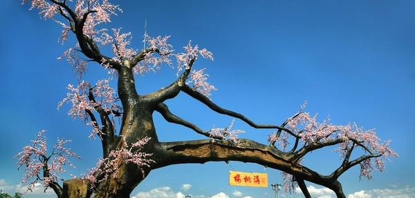 汉中市有几个区几个县