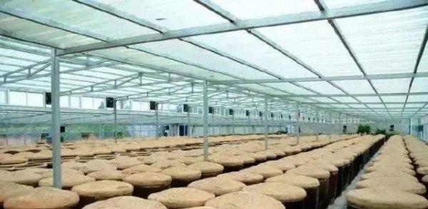 武功县属于哪个市哪个省管