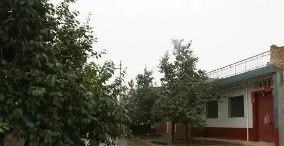 武功县属于哪个市哪个省管