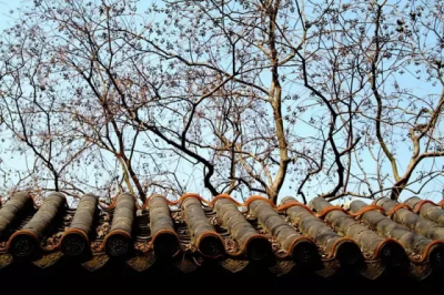 不甘心是一种什么心理 人不甘心这种情绪的心理状态