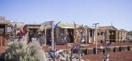 世界上唯一没有华人的国家