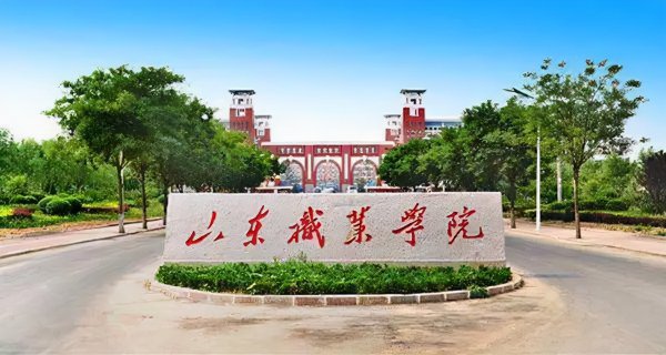 山东最好专科大学有哪些