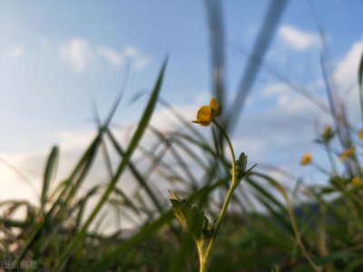 没有话题的感情还能继续吗 一段恋爱感情没有话题能维持吗