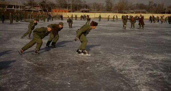 杜云波杜崽个人资料及故事