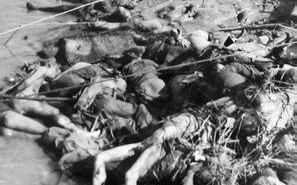 中国的八大国耻勿忘感悟