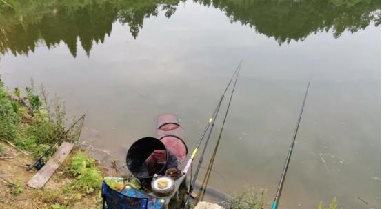 一天中钓白条最好时间