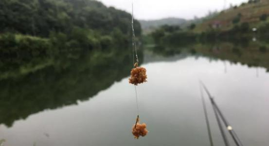 一天中钓白条最好时间