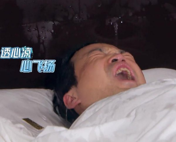 网络用语鸡条是什么意思