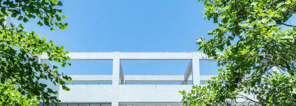 考985学考必须全部a吗