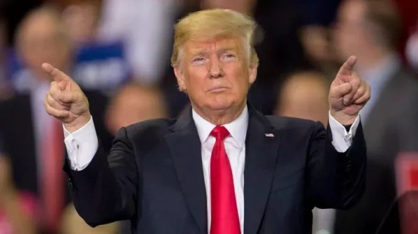 鹰鸽两派什么意思