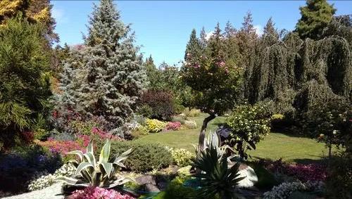 加拿大温哥华在哪里