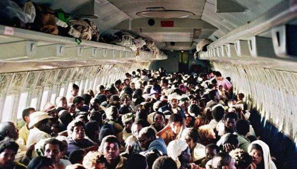 犹太人是什么人种