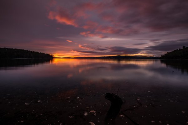 征服射手男最狠的办法