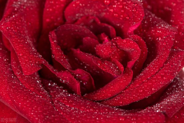 征服射手男最狠的办法